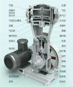 立式往复泵剖面图
